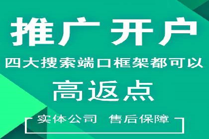 网络营销实战：成功竞价推广案例分析